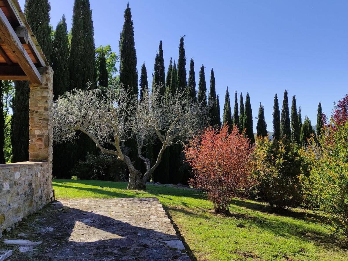 Atmospheric Apartment In Authentic House Near Beautiful Sasso Pisano Eksteriør billede