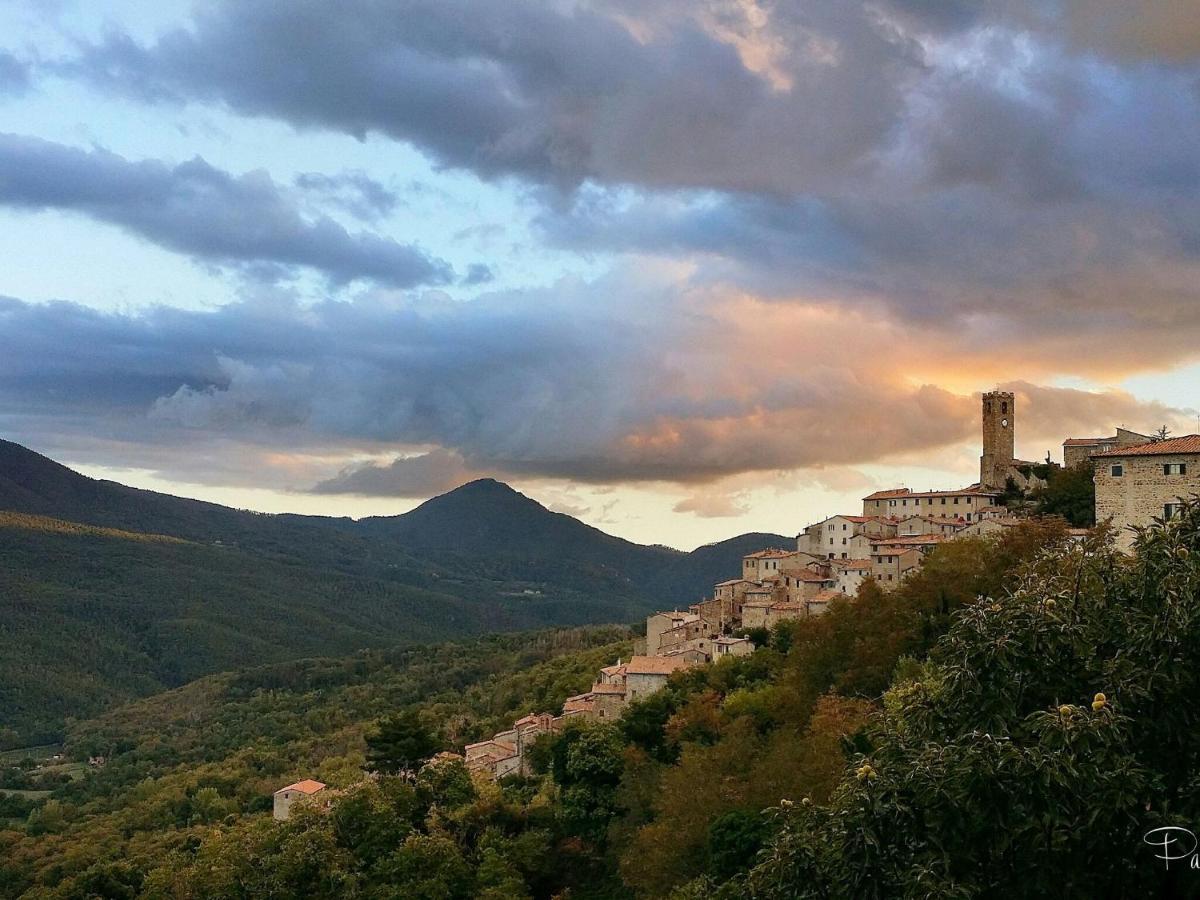 Atmospheric Apartment In Authentic House Near Beautiful Sasso Pisano Eksteriør billede